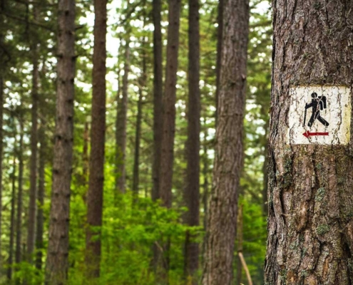 Merido-Assessments-Outplacement