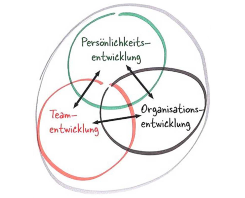 Merido-Organisationsentwicklung