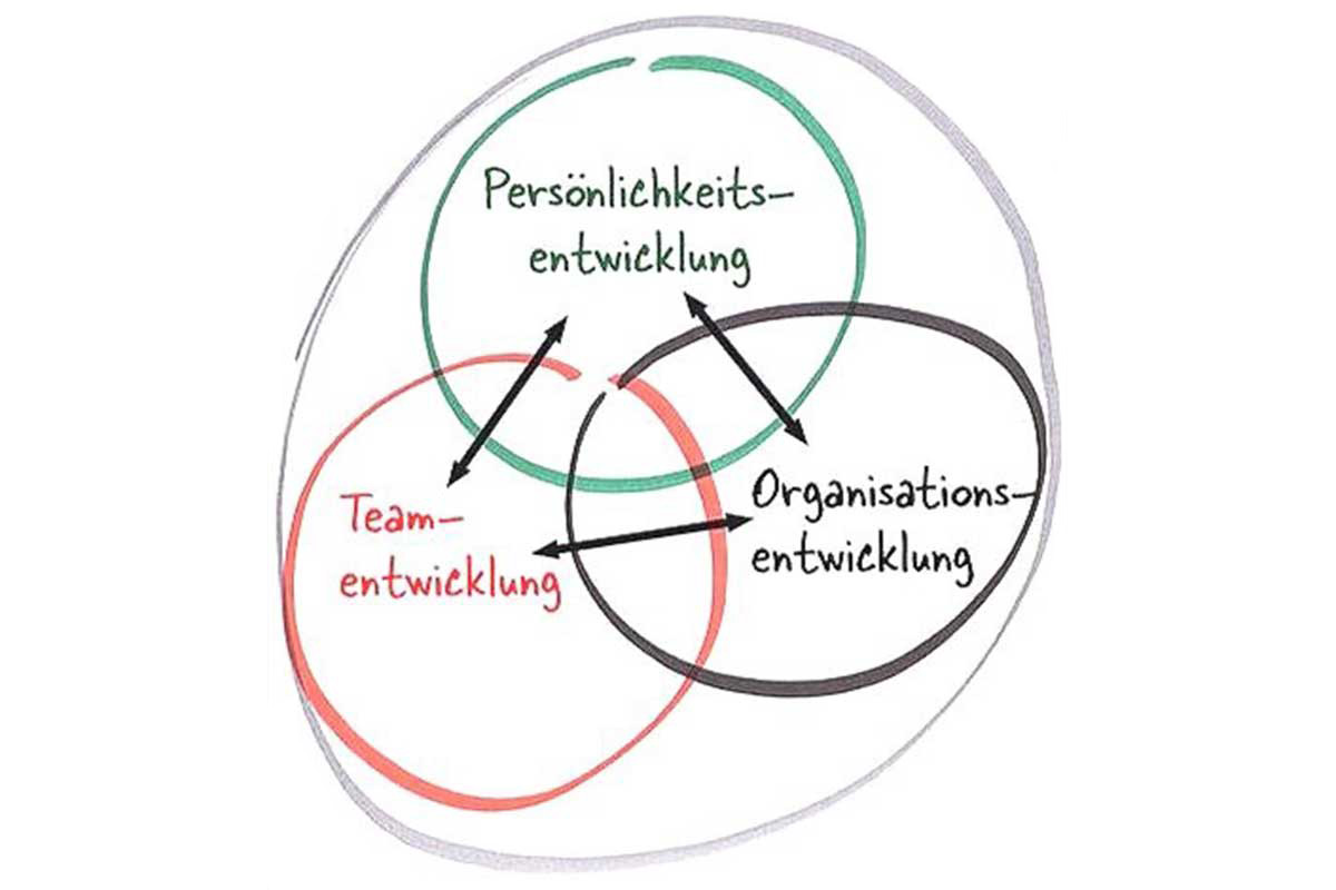 Merido-Organisationsentwicklung