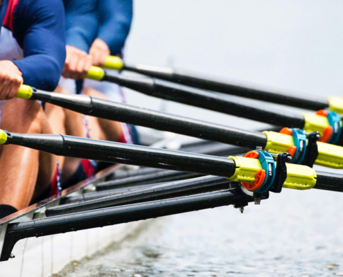 Merido-Teamentwicklung